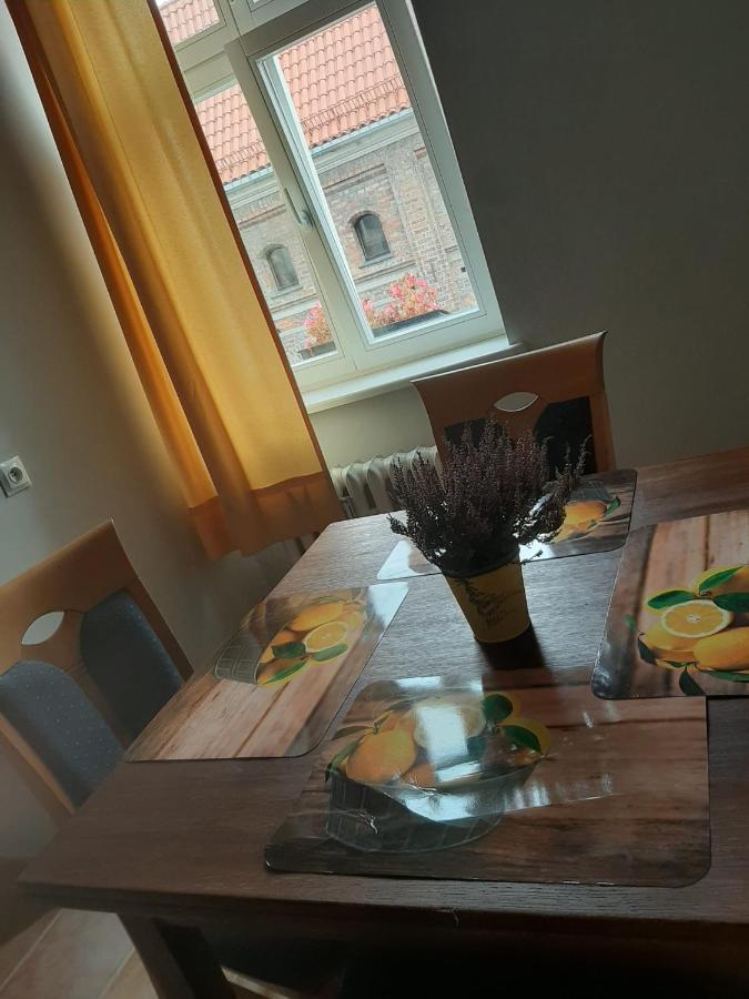 Stary Toruń Apartament Koci Leb מראה חיצוני תמונה