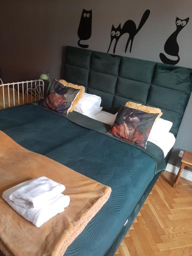 Stary Toruń Apartament Koci Leb מראה חיצוני תמונה